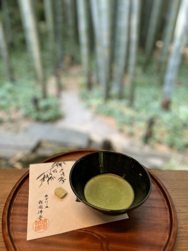 〜神奈川県〜1度は行こう🎋爽やか鎌倉の名スポット