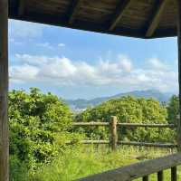 【五月平展望台】無敵美景