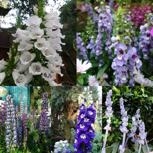 新加坡奇幻世界花園😻