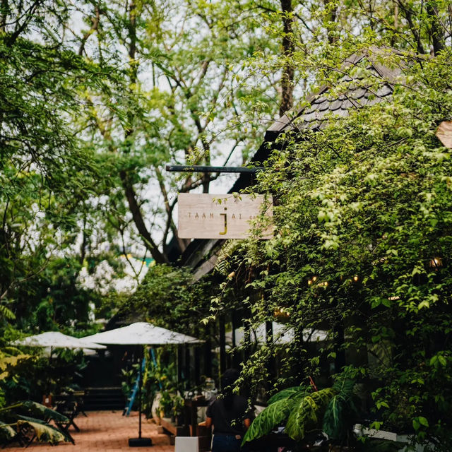 TAAMJAI CAFE’ คาเฟ่ในสวนย่านห้วยขวาง