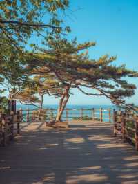 고요함이 가득 바다위를 걷는 십리포 해변 🌊