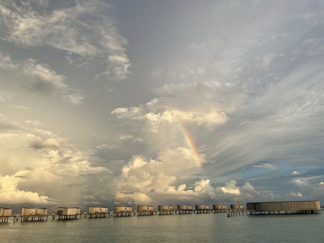 リッツモルディブの自然🌈