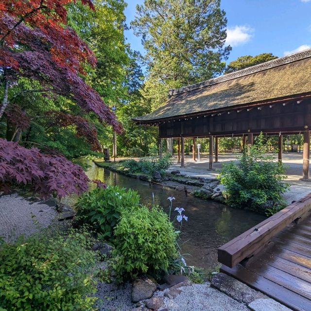日本京都-北方能量之地，玄武震風雷：上賀茂神社