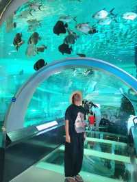 무료로 즐기는 아쿠아리움이 있는 곳🐠