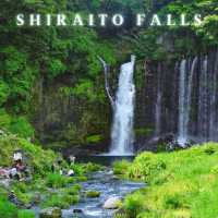 Shiraito Falls 