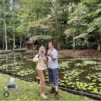 The hauntingly lovely Sandakan Memorial Park