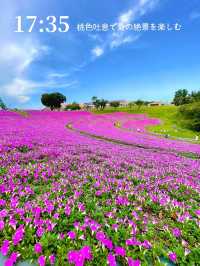 【保存版】都内発！夕方からでも楽しめる！絶景も花火も美食も満喫する旅プラン🚗