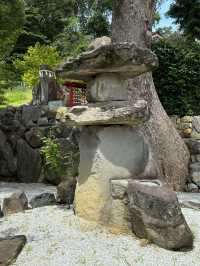 【福岡神社】月に2度変わる花手水が美しい大人気の神社