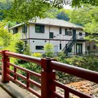 一本松川綠道：自然景觀與人文歷史的絕佳勝地