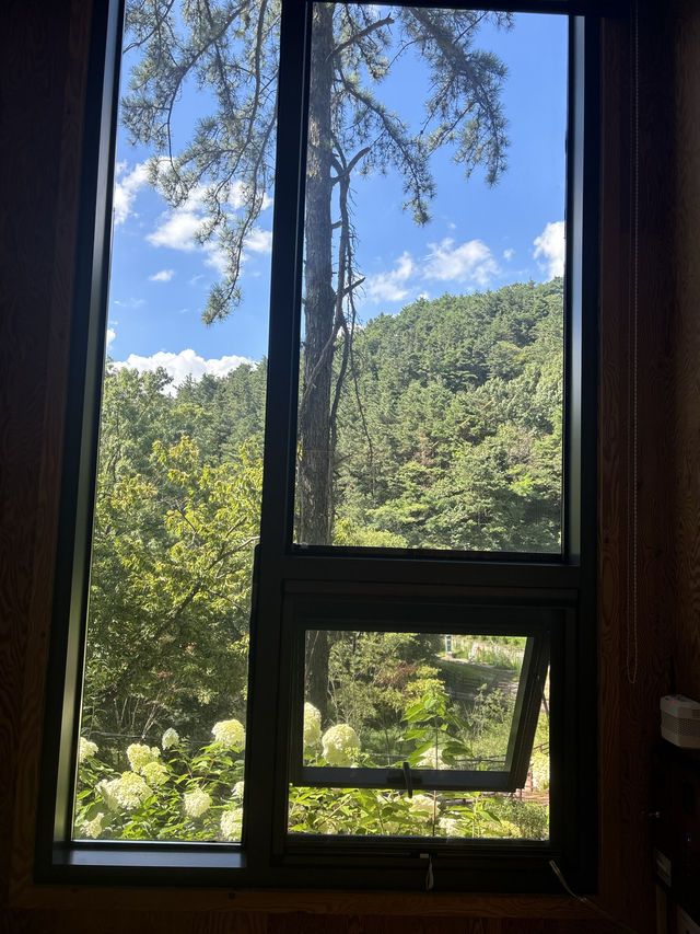 전주 숲속 힐링할수있는 도서관,전주학산시집도서관