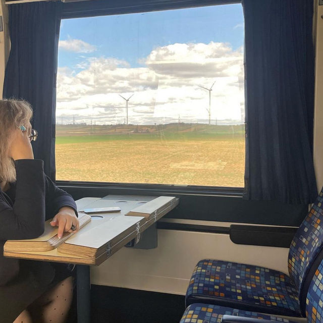 【ウィーン】ブダペストからウィーンへ日帰り電車旅🚃