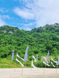 เกาะที่มีหมู เกาะไผ่ 