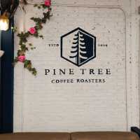 Pine Tree Coffee Roaster กาแฟดีชลบุรี