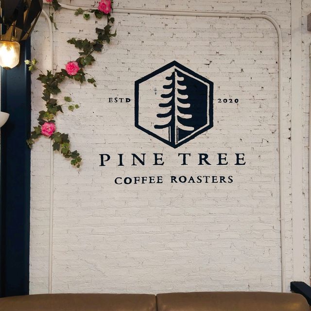 Pine Tree Coffee Roaster กาแฟดีชลบุรี