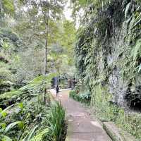 Goa Raja瀑布-別有洞天的巨大瀑佈，冒險型旅行者必去