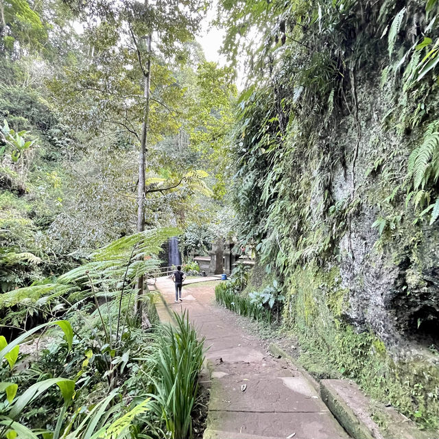 Goa Raja瀑布-別有洞天的巨大瀑佈，冒險型旅行者必去