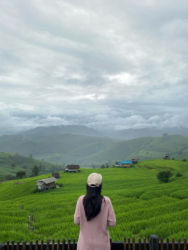ที่พักป่าบงเปียง | เชียงใหม่ 🏡⛰️🌧️🌾