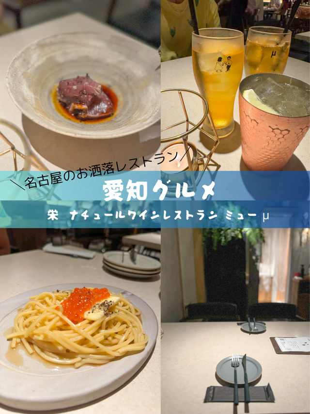 【愛知グルメ】女子会🧡デートにぴったりの隠れ家レストラン╱ 🌟【名古屋 栄】ミュー μ🌟