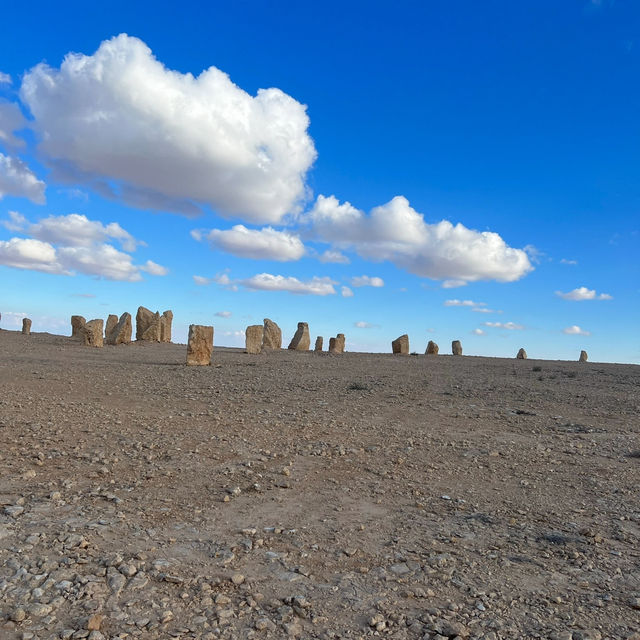 Field Of Rocks