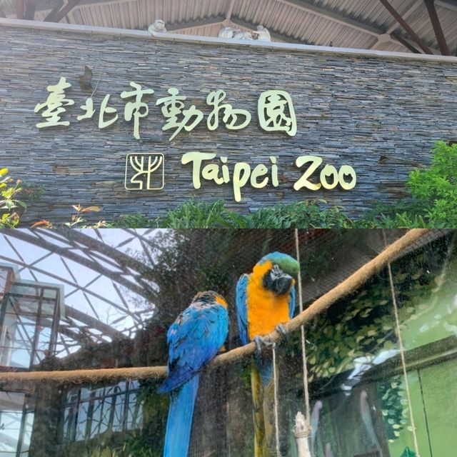 【臺北自由行】臺北市立動物園：綠蔭遮蔽，適合帶小朋友