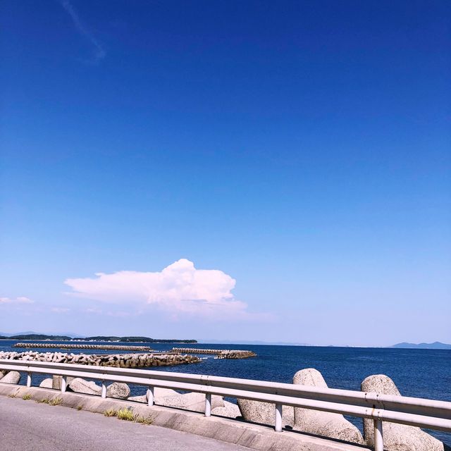 【愛知🇯🇵】多幸なタコがお出迎え🐙離島で夏満喫！