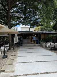 Ivory Coast Almond ร้านอาหารบรรยากาศดี
