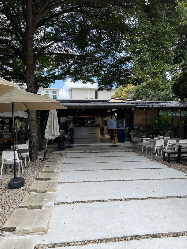 Ivory Coast Almond ร้านอาหารบรรยากาศดี