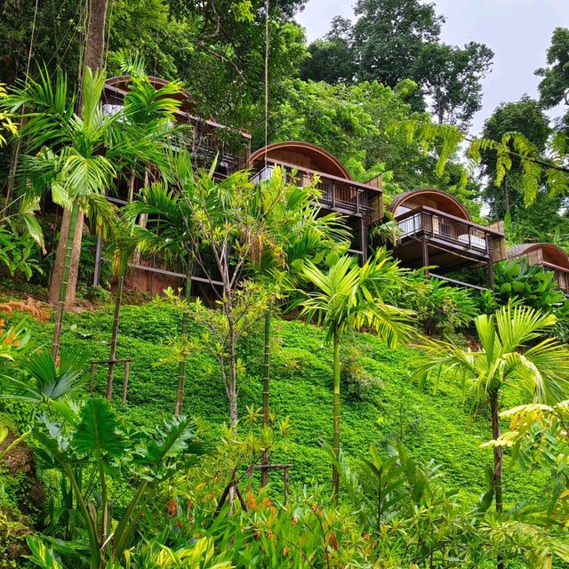 story ที่สวยงาม