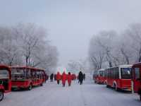 Harbin Ice and Snow World