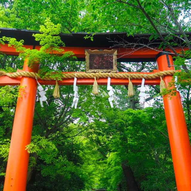 大國主神社⚜️祥和寶地