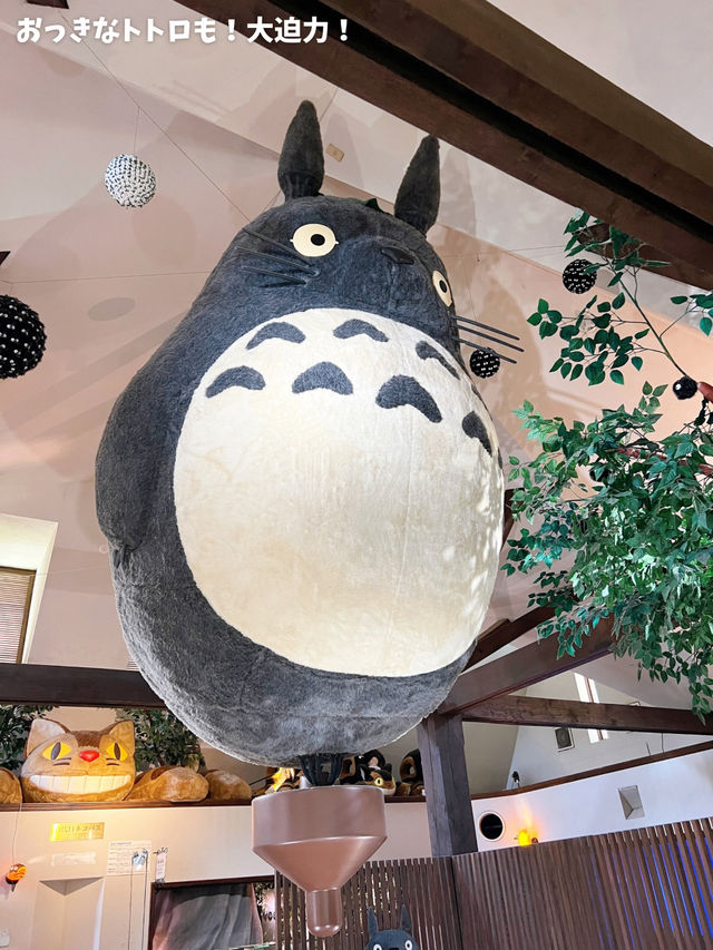 ¥3,000で食べて楽しもう！猫バスに乗りに行こう🫶