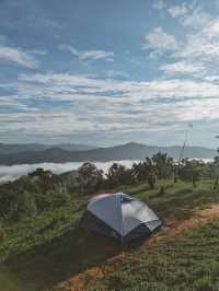 แคมป์ปิ้ง ชมทะเลหมอก ☁️🏕️ ม่อนเงาะ 