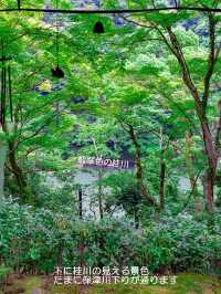 青もみじのリフレクションに酔いしれる【嵐山 祐斎亭】