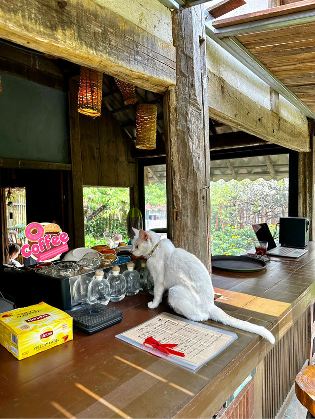 A Morning Dip and Slow Life in Sapa