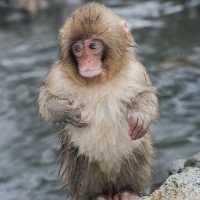 「平川動物公園」親近可愛動物，愉快親子時光！