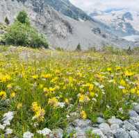 🇨🇭スイス　モルテラッチ氷河ハイキング