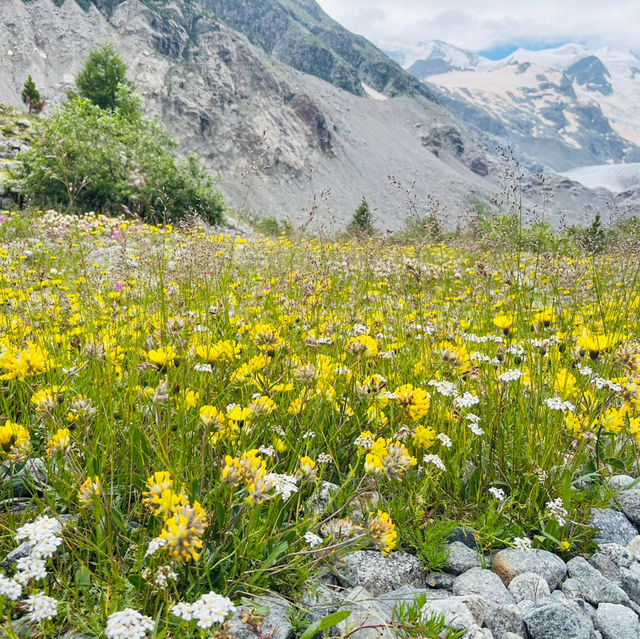 🇨🇭スイス　モルテラッチ氷河ハイキング