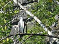 Kilim Geoforest Park