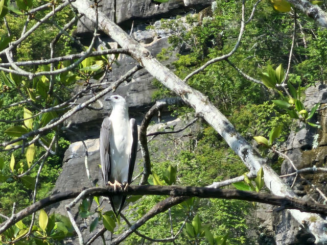 Kilim Geoforest Park