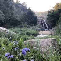 A Hidden Cascade of Serenity