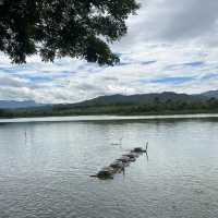 Singha Park Chiang Rai