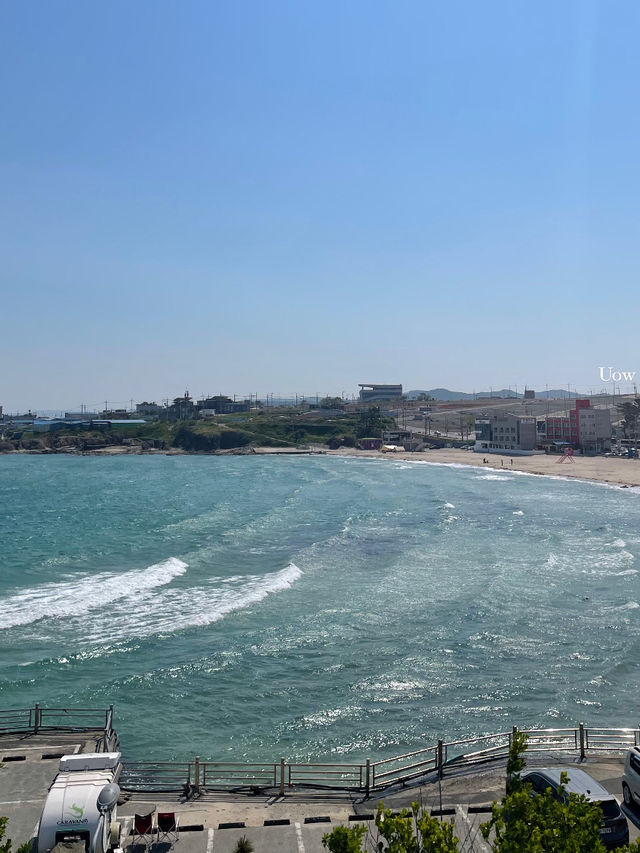 가슴이 뻥 뚫는 포항바다를 소개합니다🌊
