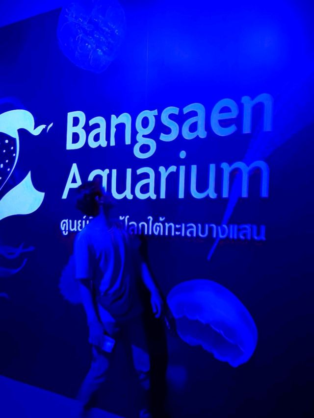 พิพิธภัณฑ์สัตว์น้ำบางแสน Bangsaen Aquarium