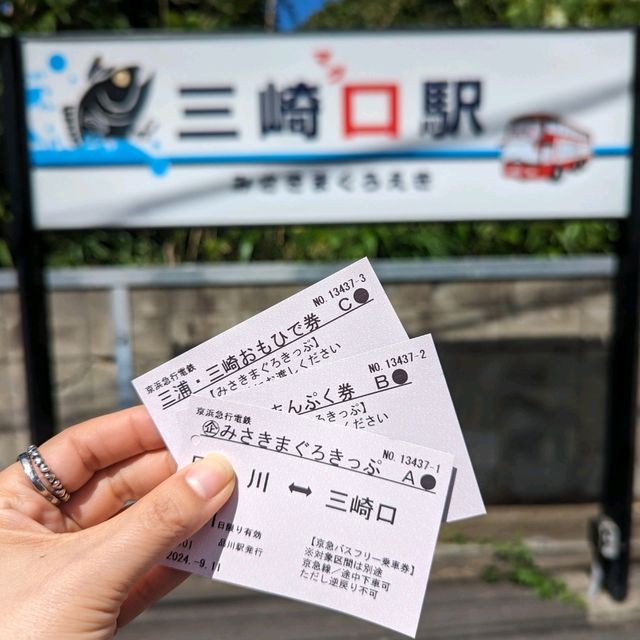 三崎鮪魚一日“女”