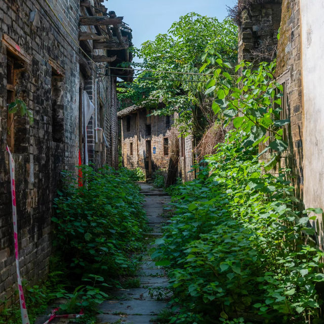 西溪古村：靜謐古樸🏡🌿✨