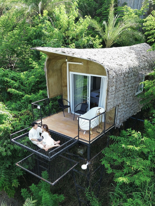 The Pandora Camp เขาใหญ่  ⛰️