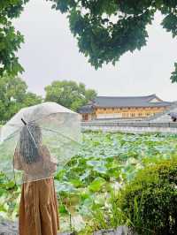 전주 덕진공원 데이트