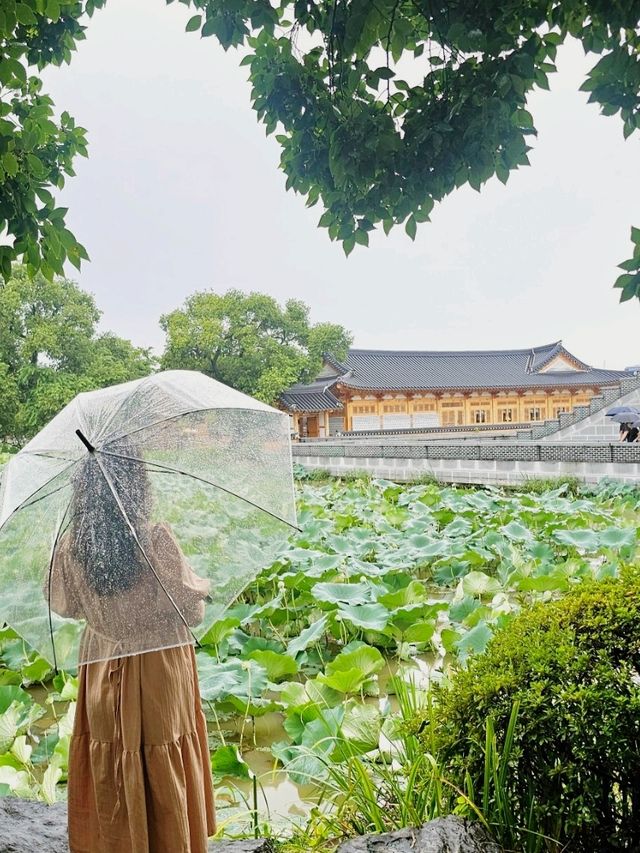 전주 덕진공원 데이트