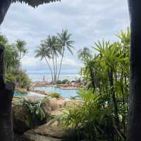 สันธิญา ทรีรีสอร์ท เกาะช้าง 🏝️