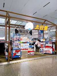 What To Buy at Shanghai Hongqiao Railway Station 